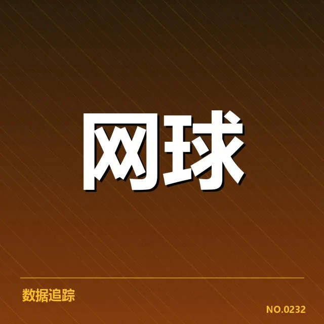 核心球员的代表性成长轨迹